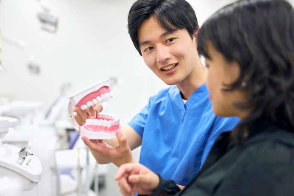 歯の模型を持って患者様に説明している矯正歯科医